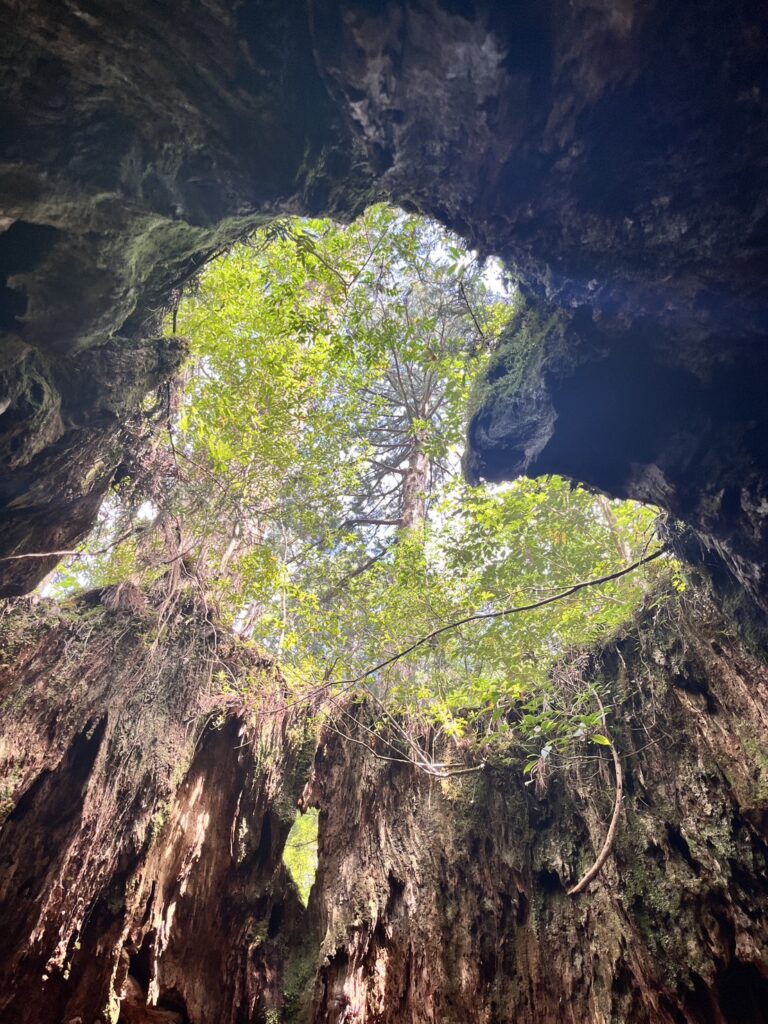 前厄女の屋久島レポ